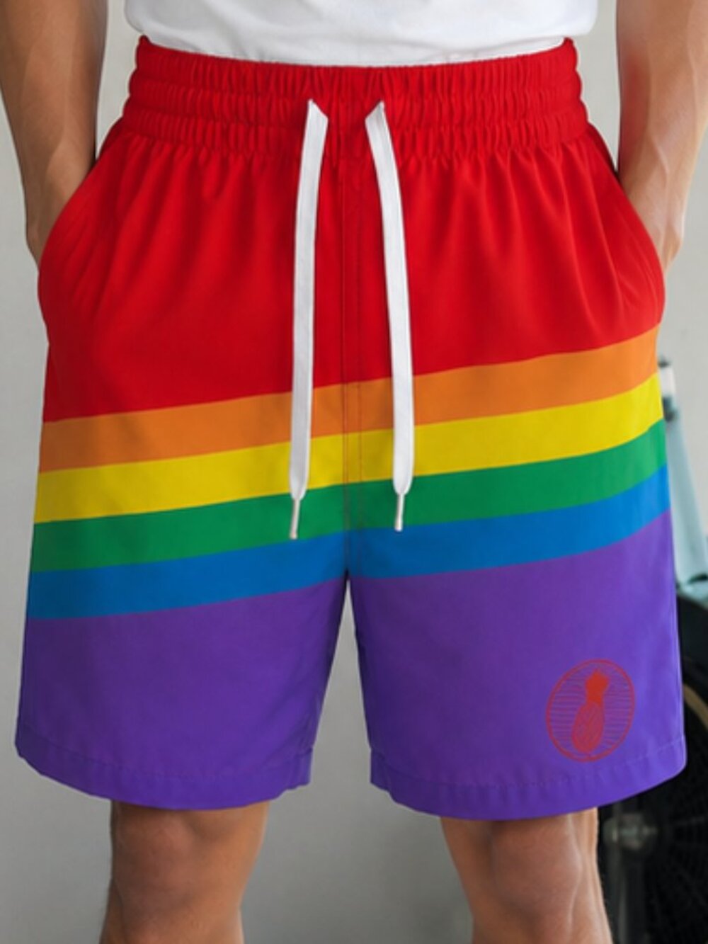 Chubbies Rainbow Stripe Swim Trunks 5.5” Inseam Pride Shorts XL